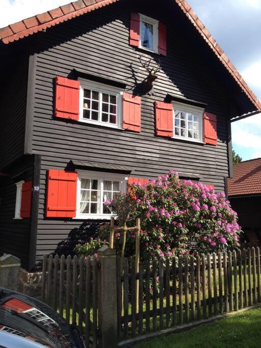 Villa Herzog - Ferienhaus Fuer 6 Personen In Braunlage, Harz מראה חיצוני תמונה