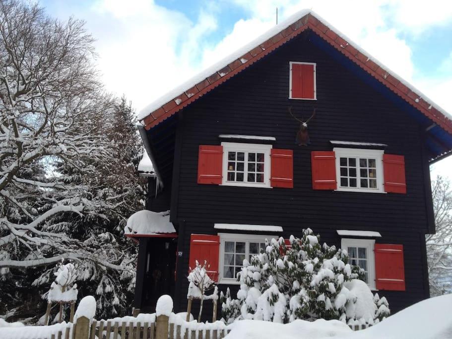Villa Herzog - Ferienhaus Fuer 6 Personen In Braunlage, Harz מראה חיצוני תמונה